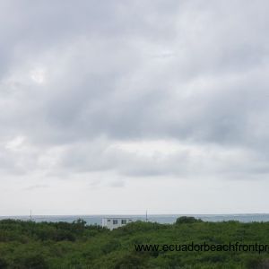 Views over the mangroves towards the ocean