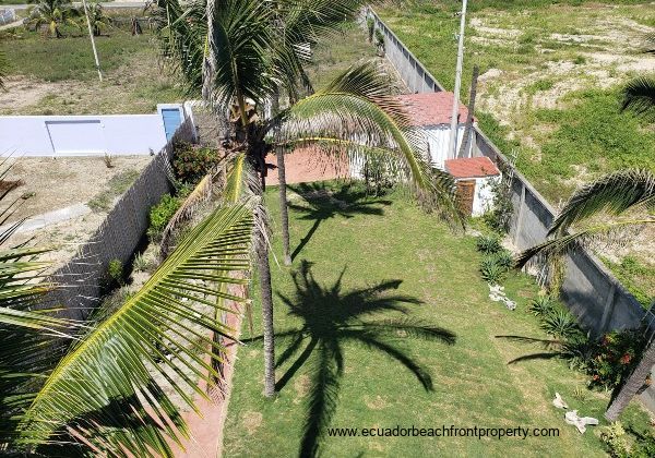 Spacious grounds with mature palms