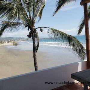 View toward beach access
