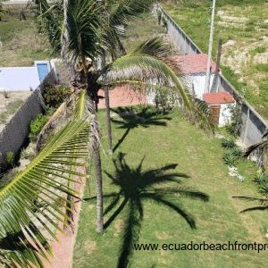 Spacious grounds with mature palms