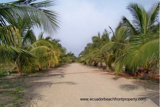 Coco Beach Village Lot for Sale