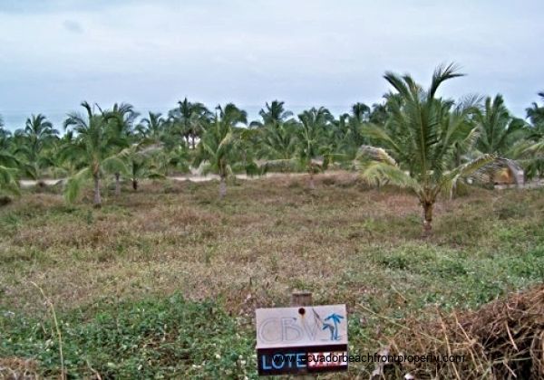 Affordable Oceanview Lot in a Gated Community