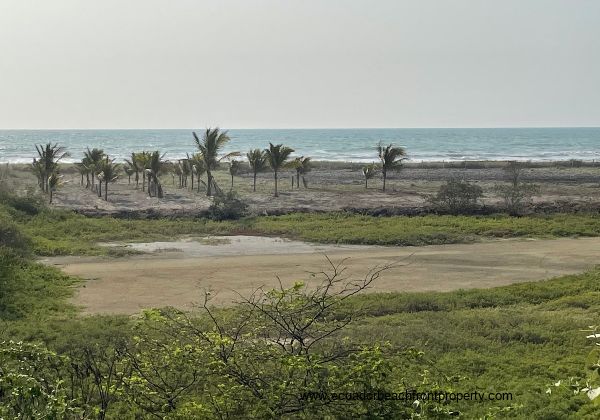 Property for sale Briceno, Ecuador Property for sale Briceno, Ecuador