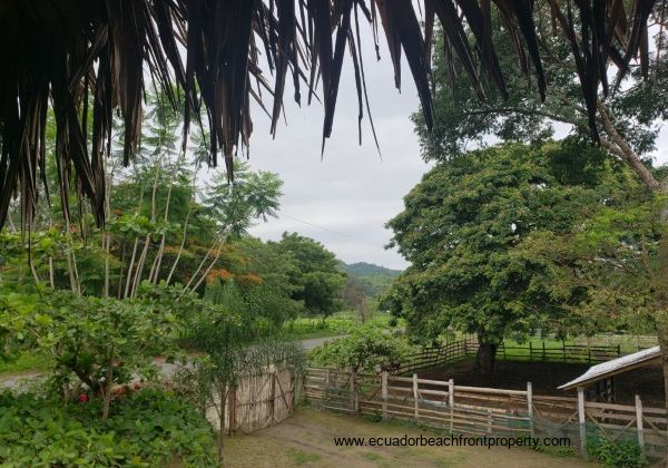 Organic farm for sale in Ecuador