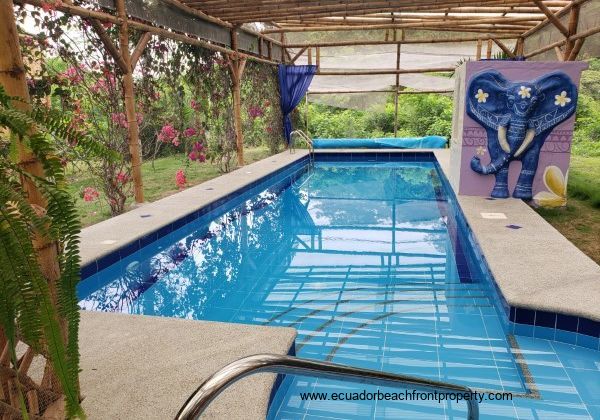 Organic farm for sale in Ecuador Organic farm for sale in Ecuador