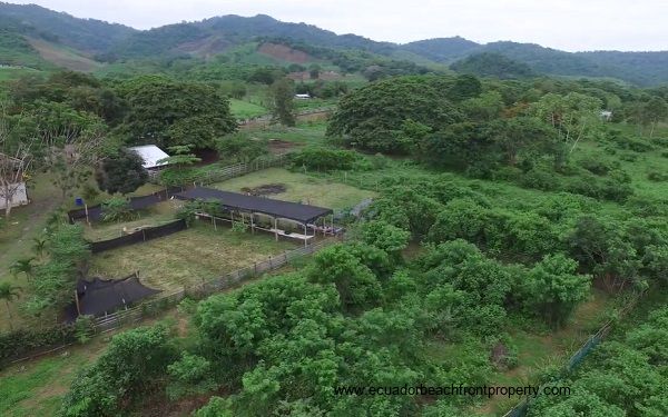 Organic farm for sale in Ecuador