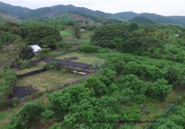 *SOLD* Hacienda Juliana - 150 Acre Organic Farm Near Beach