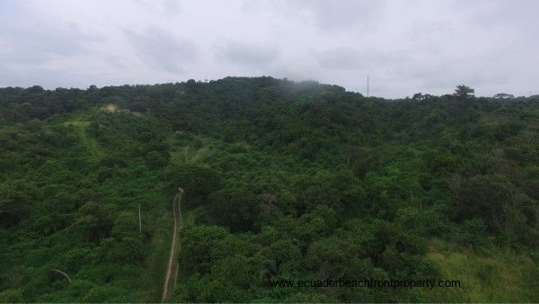 Ocean view hillside land for sale in Ecuador