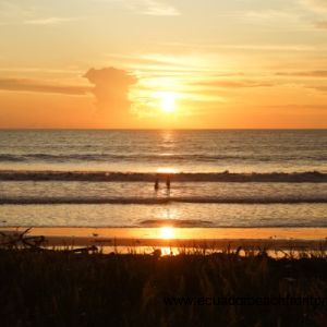 Incredible sunsets over the warm Pacific Ocean