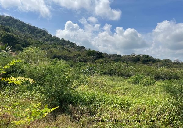 piece of land close to the beach of ecuador