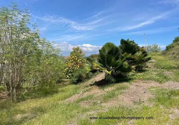 farm land for sale on the coast