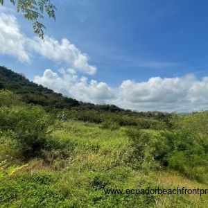 3 Acre San Clemente Ocean View Farm