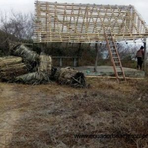 new roof to be put on the bamboo shade structure (palapa)