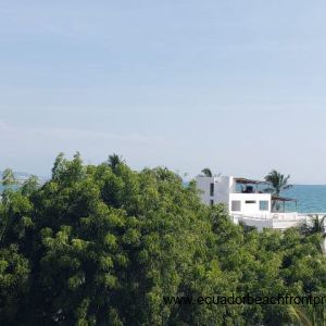 rooftop terrace views 