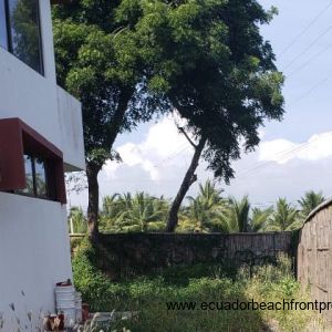 side yard