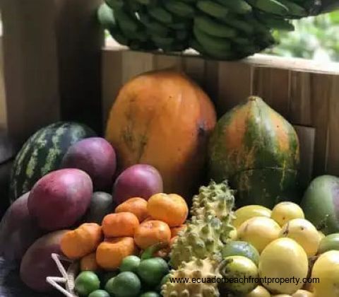 Roadside farm stand