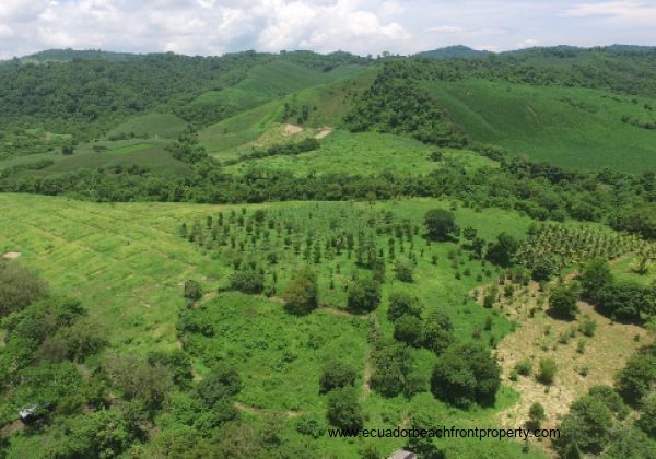 *SOLD* Finca Libelula - 152 Acre Organic Farm and Homestead 
