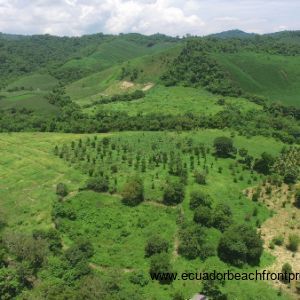 Finca Libelula - 152 Acre Organic Farm and Homestead 