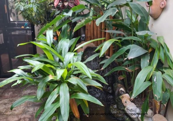 ground level patios (25)