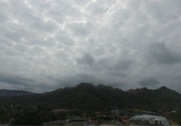 views (4)