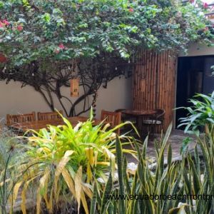 ground level patios (20)