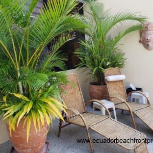 ground level patios (8)