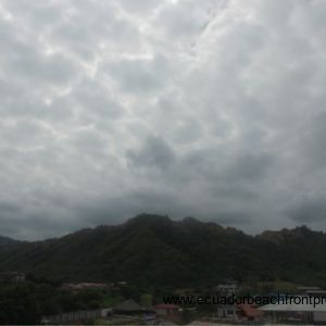 views (4)