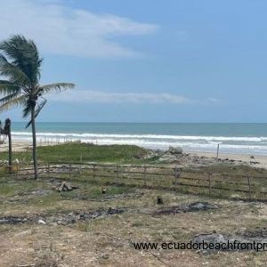 A strip of beach dune sits between the lot and the sand