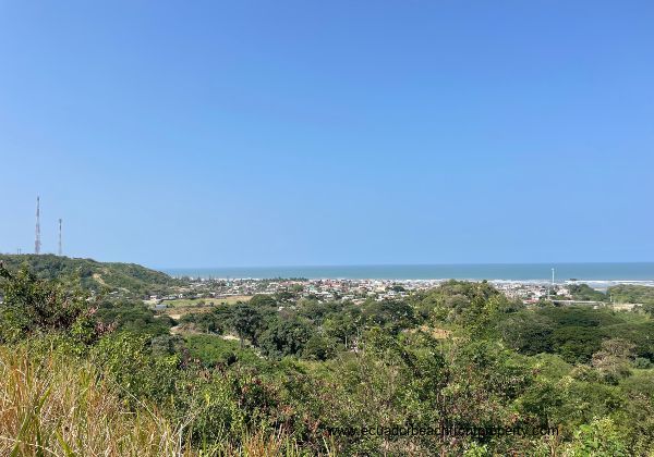 3.7 Acre Oceanview Farm