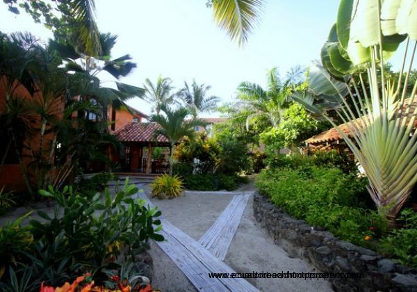 Tropical landscaping and bamboo pathways separating the the main house from the guest house