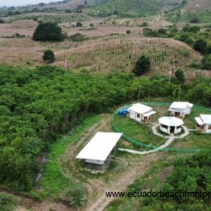 aerial views (7)