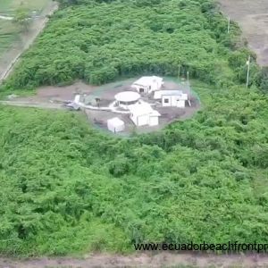 The structures are surround by forest