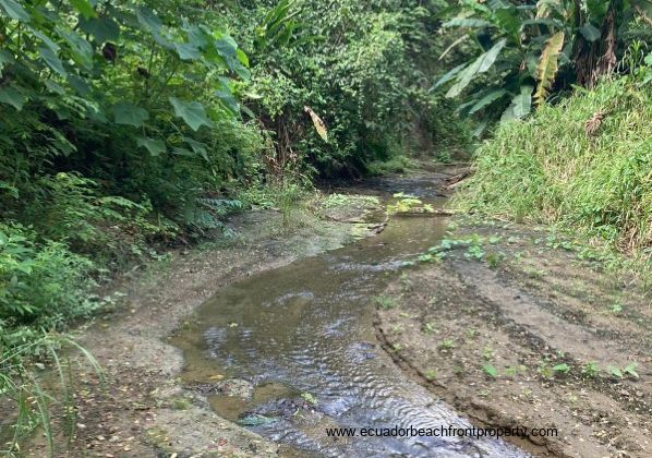 Income producing farm in Ecuador