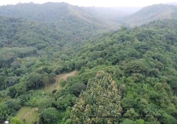 *PRICE REDUCED AGAIN* El Salto - Farm Near Beach with Teak, Coffee, and More