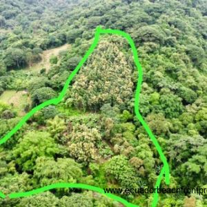 Rough delineation of the property