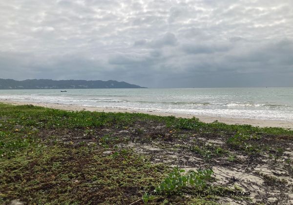 Coco Beach Village in Ecuador