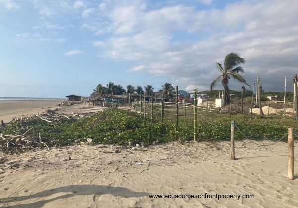 Beachfront land for sale in Ecuador