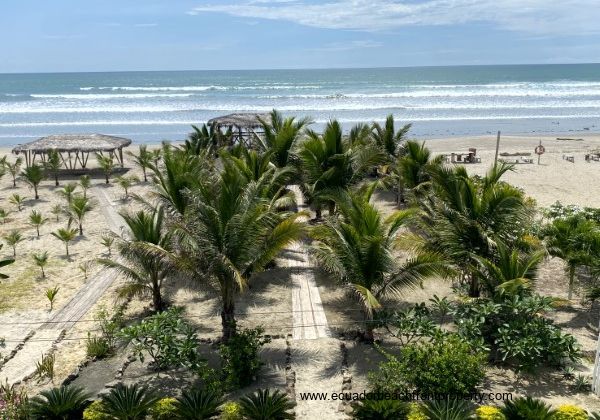 Beachfront Paradise