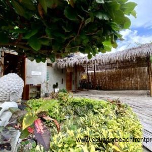 living kitchen and exterior (7)