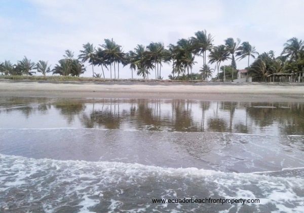1.16 Acres of Cañaveral Beachfront Land